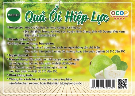 Ổi lê Hiệp Lực