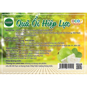Ổi lê Hiệp Lực